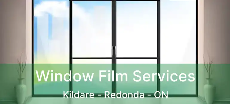  Window Film Services Kildare - Redonda - ON