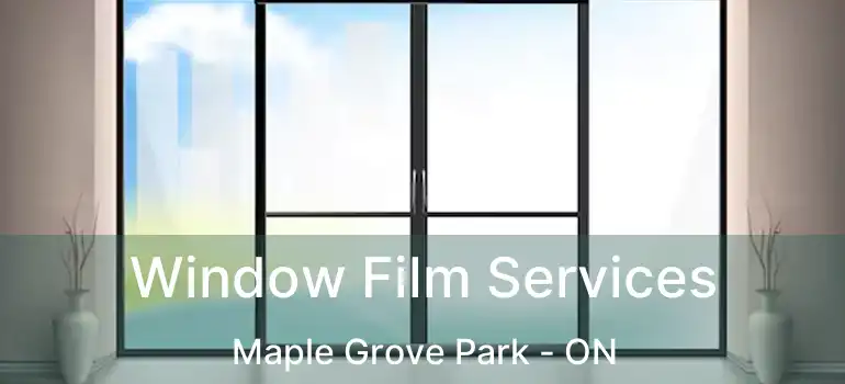  Window Film Services Maple Grove Park - ON