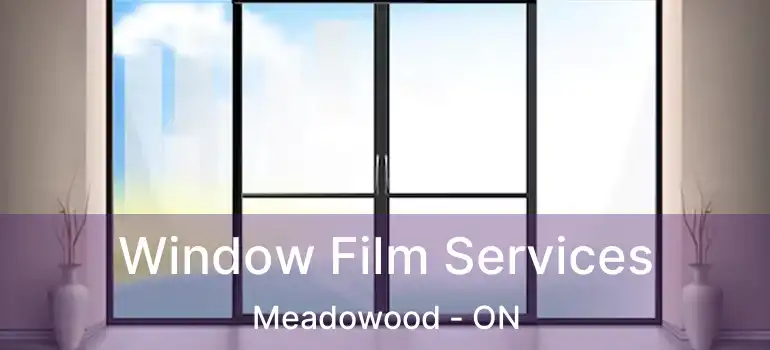 Window Film Services Meadowood - ON