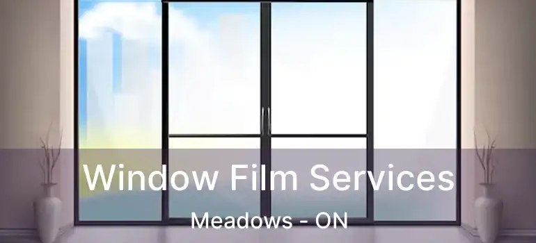  Window Film Services Meadows - ON