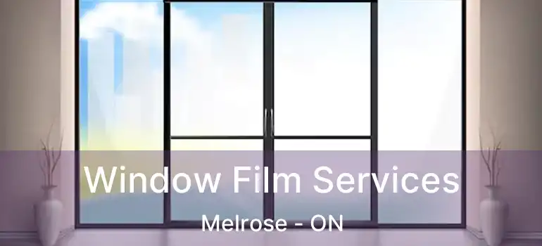  Window Film Services Melrose - ON