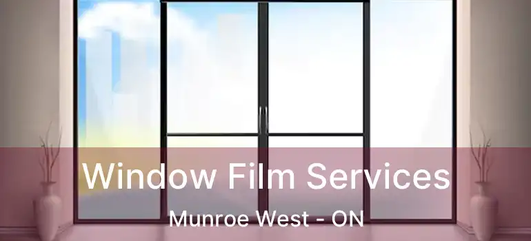  Window Film Services Munroe West - ON
