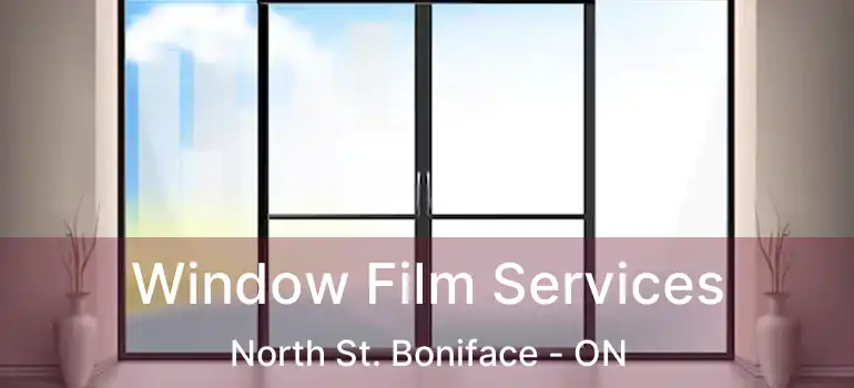  Window Film Services North St. Boniface - ON