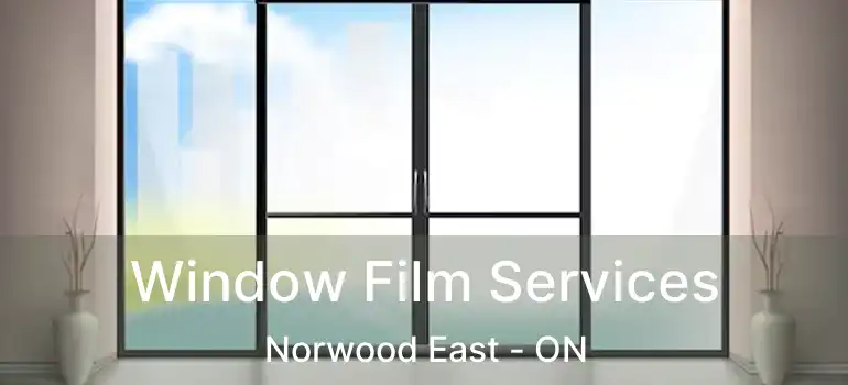  Window Film Services Norwood East - ON