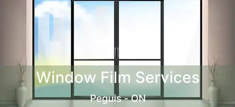  Window Film Services Peguis - ON