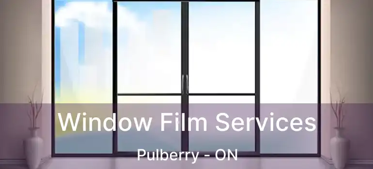  Window Film Services Pulberry - ON