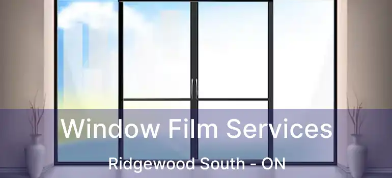  Window Film Services Ridgewood South - ON