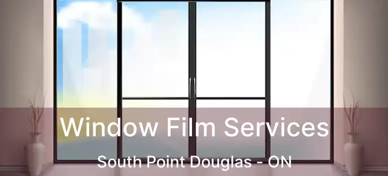  Window Film Services South Point Douglas - ON