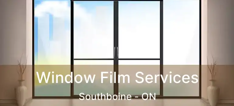  Window Film Services Southboine - ON