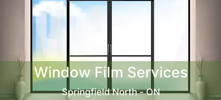  Window Film Services Springfield North - ON