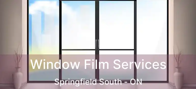  Window Film Services Springfield South - ON
