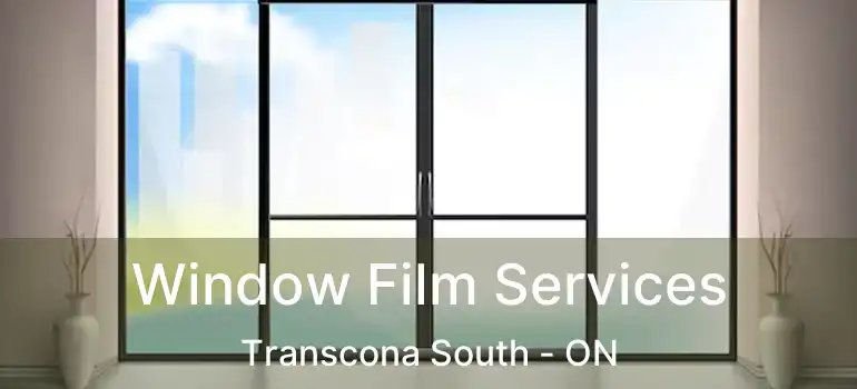  Window Film Services Transcona South - ON