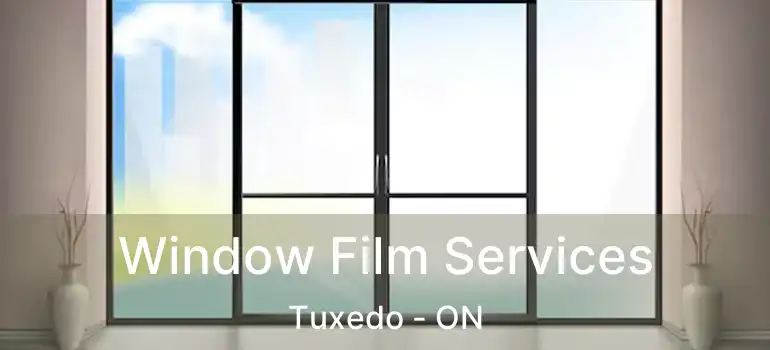 Window Film Services Tuxedo - ON