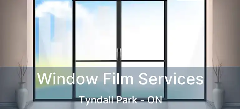  Window Film Services Tyndall Park - ON
