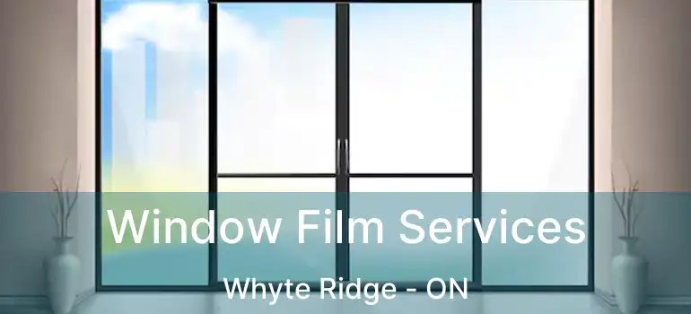  Window Film Services Whyte Ridge - ON