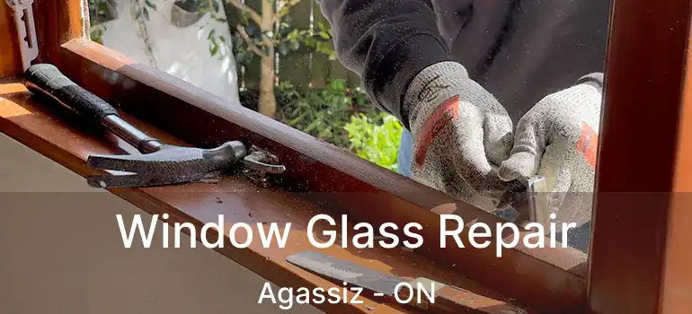  Window Glass Repair Agassiz - ON