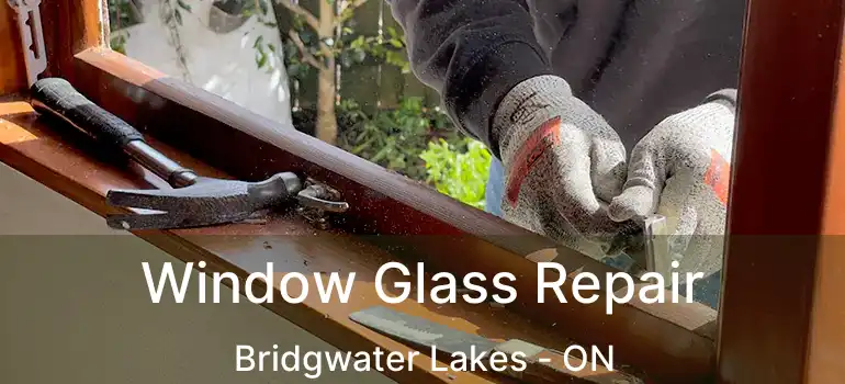 Window Glass Repair Bridgwater Lakes - ON