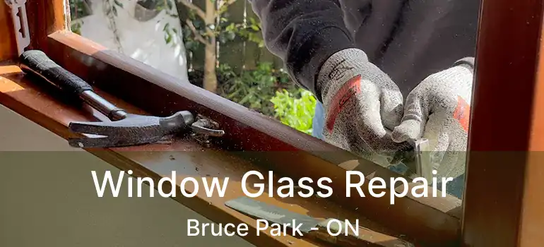  Window Glass Repair Bruce Park - ON