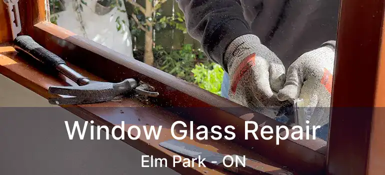  Window Glass Repair Elm Park - ON