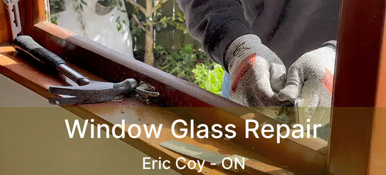  Window Glass Repair Eric Coy - ON