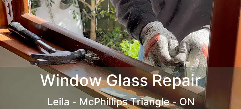  Window Glass Repair Leila - McPhillips Triangle - ON