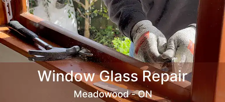  Window Glass Repair Meadowood - ON