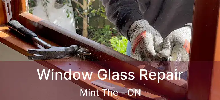  Window Glass Repair Mint The - ON