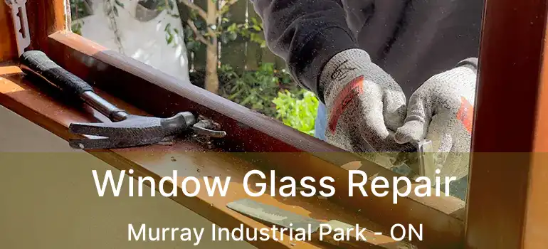 Window Glass Repair Murray Industrial Park - ON