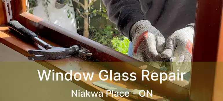  Window Glass Repair Niakwa Place - ON