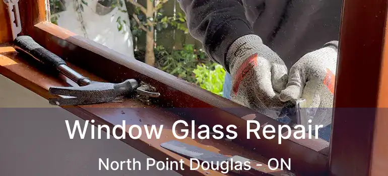  Window Glass Repair North Point Douglas - ON