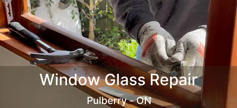  Window Glass Repair Pulberry - ON