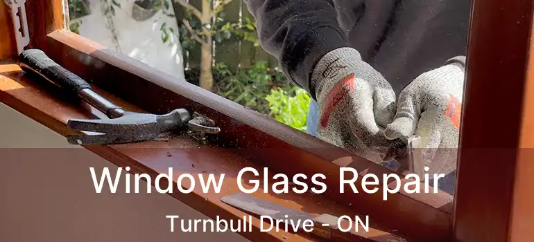  Window Glass Repair Turnbull Drive - ON