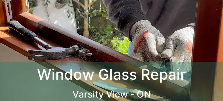  Window Glass Repair Varsity View - ON