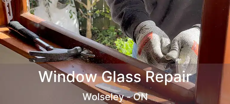  Window Glass Repair Wolseley - ON