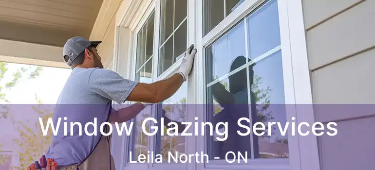  Window Glazing Services Leila North - ON