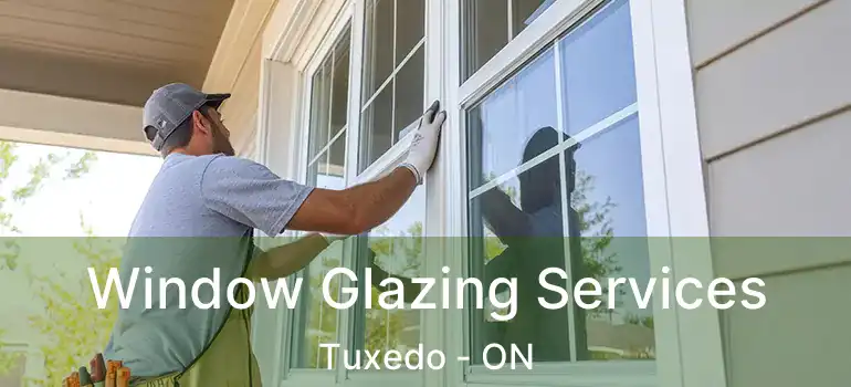  Window Glazing Services Tuxedo - ON