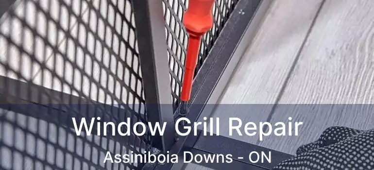 Window Grill Repair Assiniboia Downs - ON
