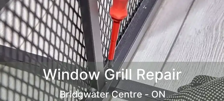  Window Grill Repair Bridgwater Centre - ON
