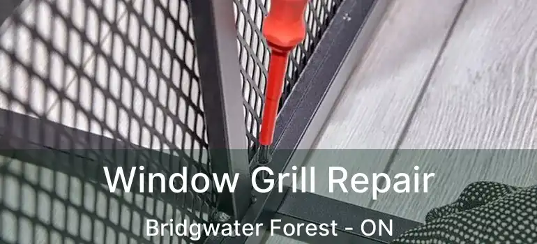  Window Grill Repair Bridgwater Forest - ON