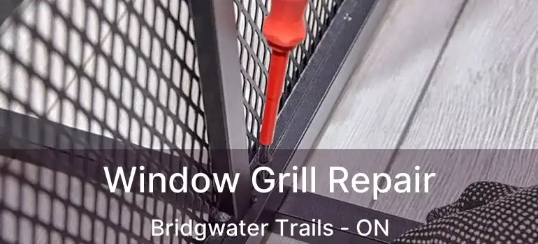  Window Grill Repair Bridgwater Trails - ON