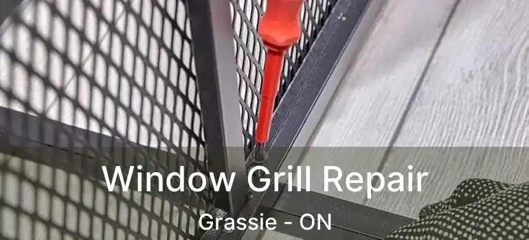  Window Grill Repair Grassie - ON
