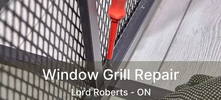  Window Grill Repair Lord Roberts - ON