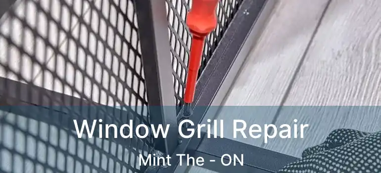  Window Grill Repair Mint The - ON