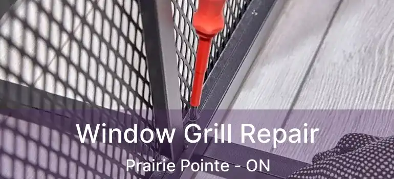  Window Grill Repair Prairie Pointe - ON