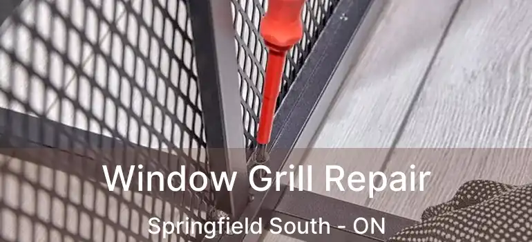  Window Grill Repair Springfield South - ON