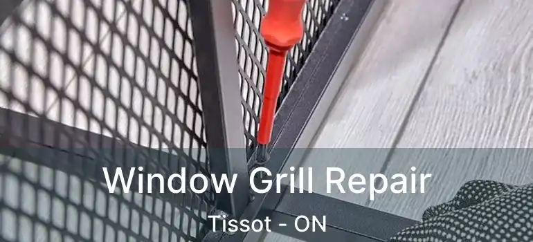  Window Grill Repair Tissot - ON