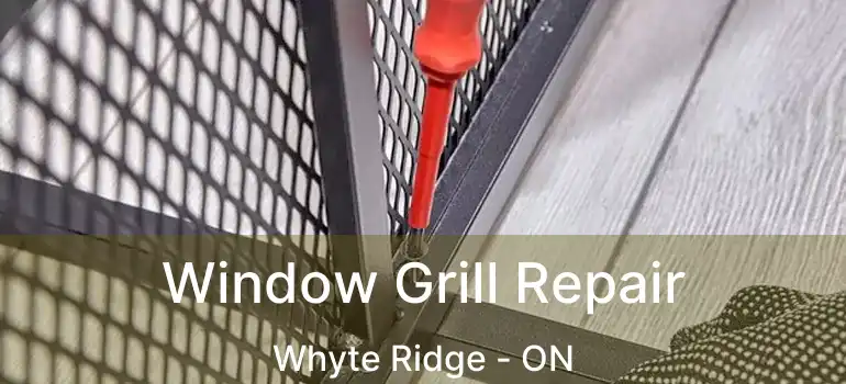  Window Grill Repair Whyte Ridge - ON