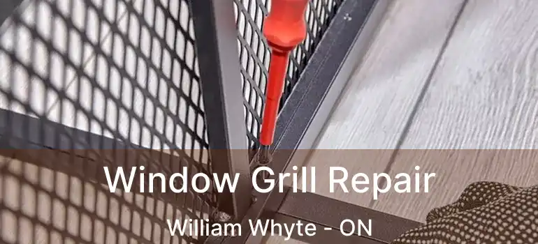  Window Grill Repair William Whyte - ON