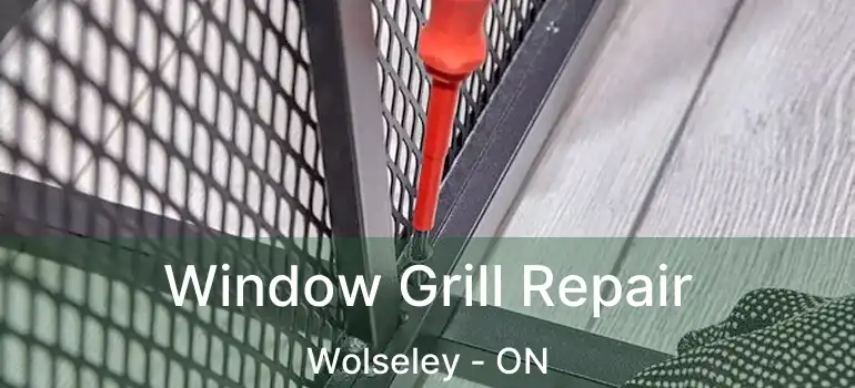  Window Grill Repair Wolseley - ON