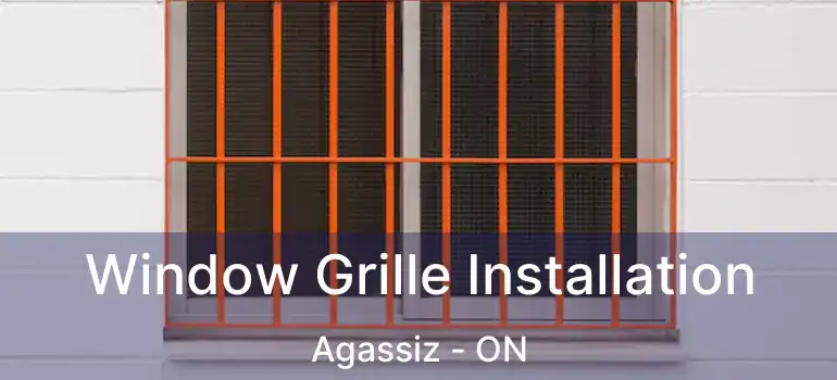  Window Grille Installation Agassiz - ON